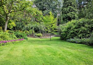 Optimiser l'expérience du jardin à Roynac