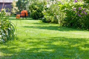 travaux jardin et paysage Roynac